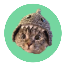 Game Icon