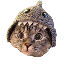 SharkCat Background